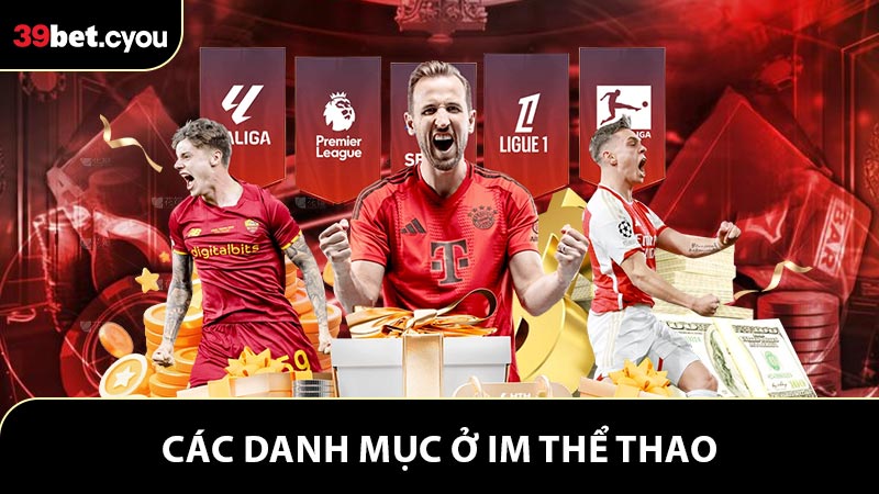 Các danh mục cá cược nổi bật ở IM Thể Thao